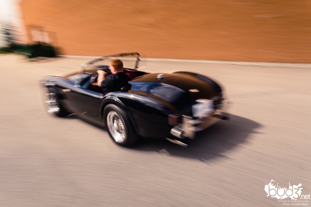 shelby_cobra_bud3_21.jpg