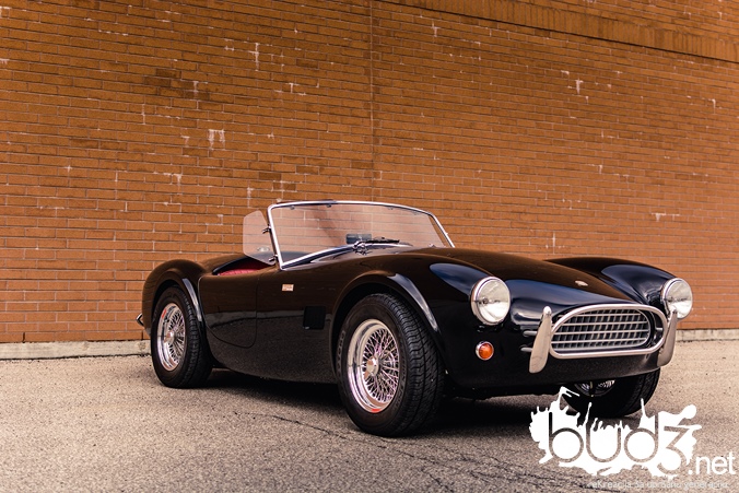 shelby_cobra_bud3_naslovna_7