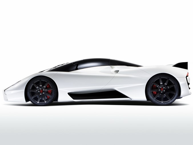 ssc_tuatara_bud3_naslovna_1